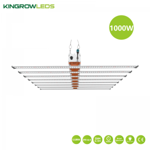640W-1000W Spider Grow Light | Kingrowleds