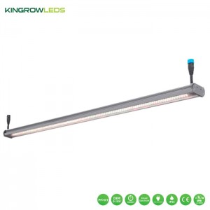 KB Series Specail for Vertical Farming | Kingrowleds