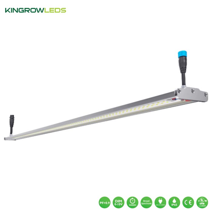 KB Series Specail for Vertical Farming | Kingrowleds Featured Image