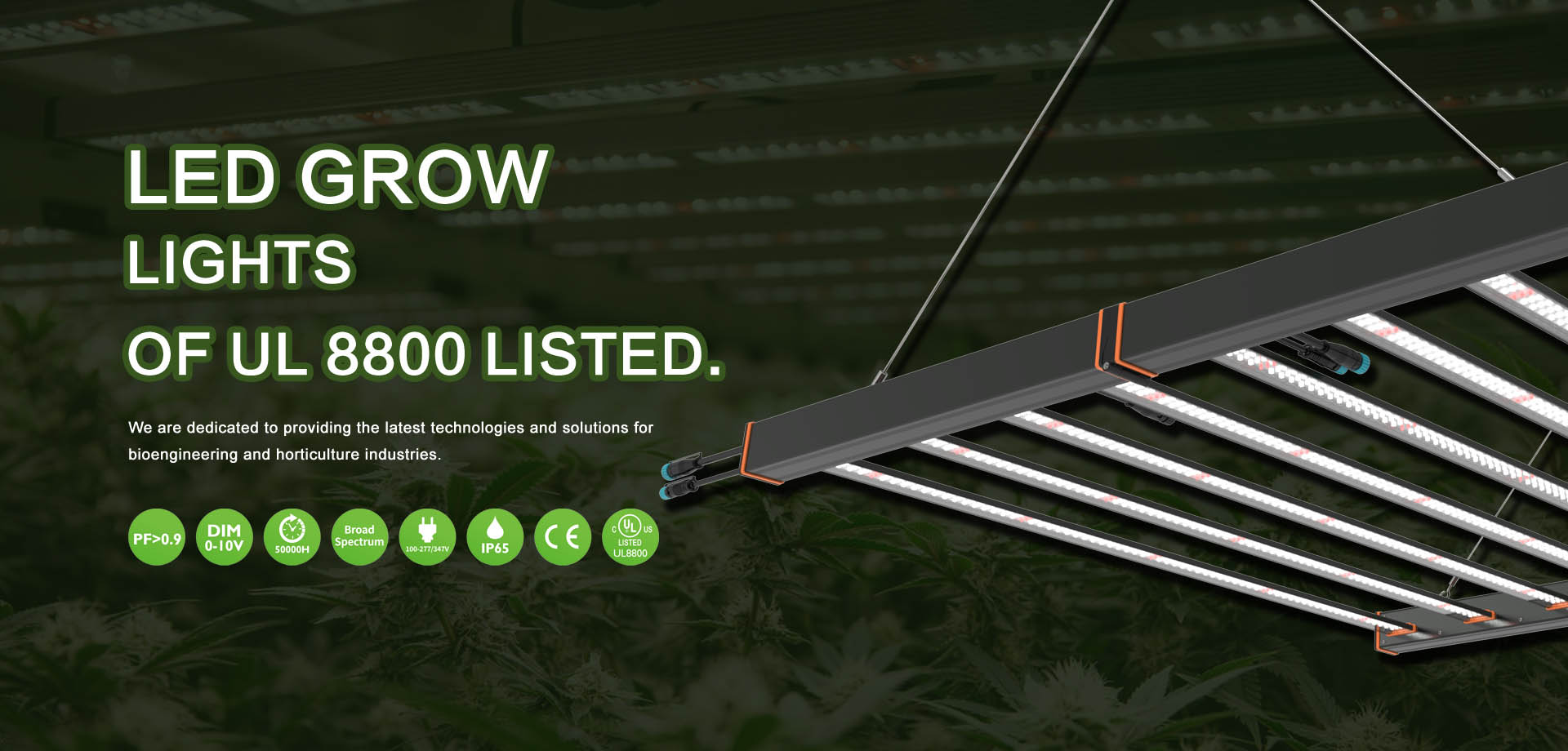 Led Grow Light, Grow Light, Vertical Led Grow Light Kingrowleds