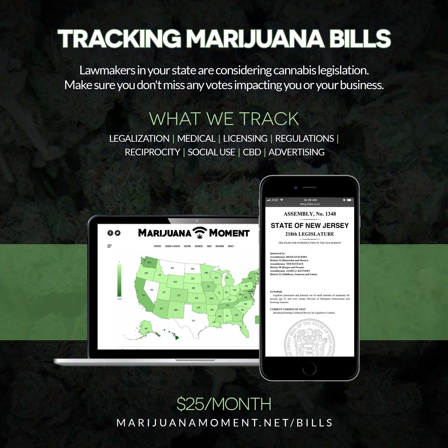 MM_Bill_Tracker_V5_blank