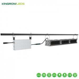 730W Greenhouse supplemental light | Kingrowleds