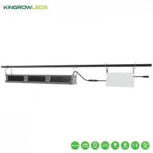 730W Greenhouse supplemental light | Kingrowleds