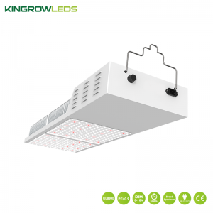 1000 Watt LED Grow Lights-KH1000W | Kingrowleds
