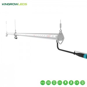 60w/125w Interlighting Systems | Kingrowleds