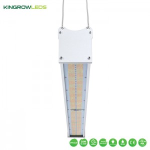 Greenhouse Supplemental light 720W | Kingrowleds