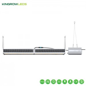 Greenhouse Supplemental light 720W | Kingrowleds