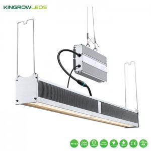 Greenhouse Supplemental light 720W | Kingrowleds