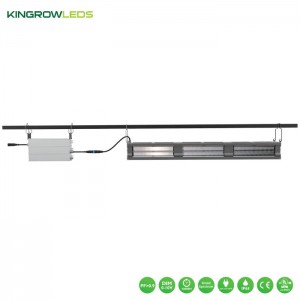 730W Greenhouse supplemental light | Kingrowleds