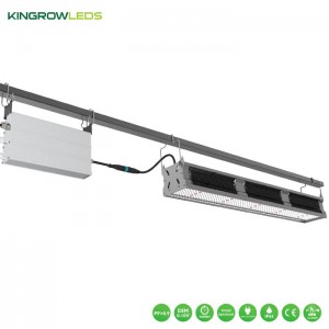 730W Greenhouse supplemental light | Kingrowleds